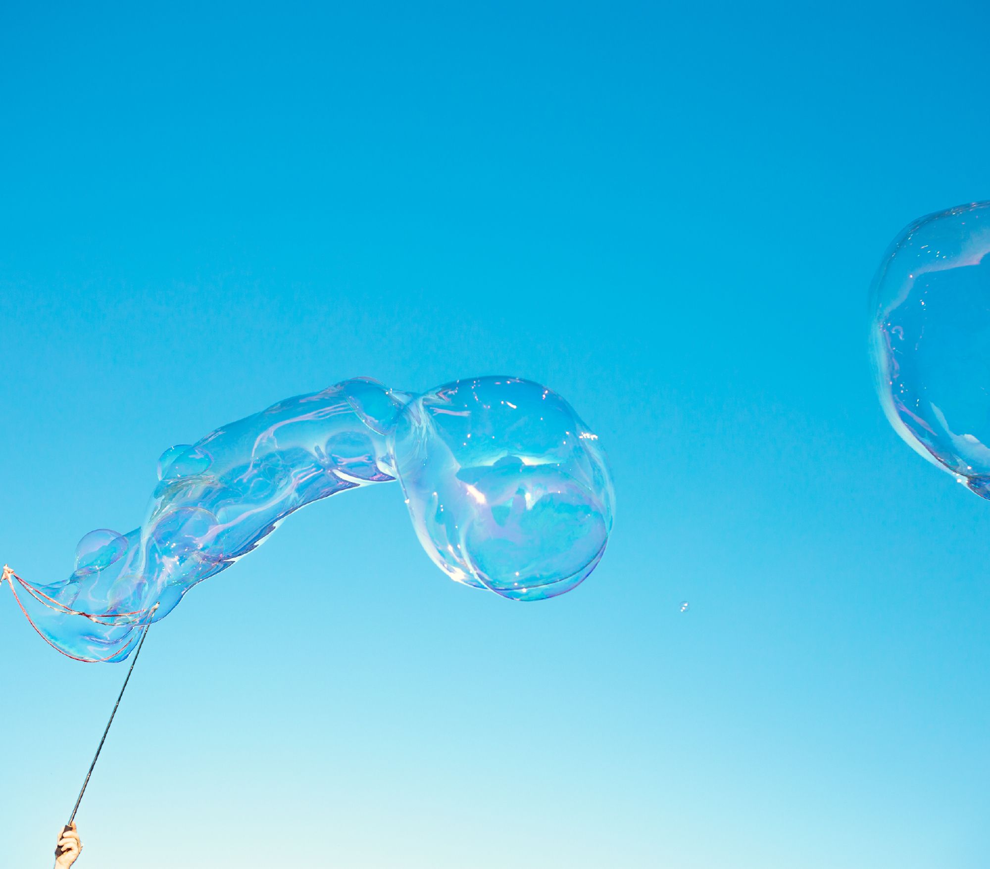 BLUE FRONT SPRING 2026